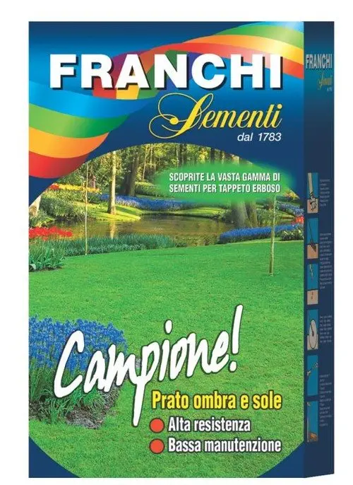 MISCUGLIO SEMI PRATO CAMPIONE 1 KG