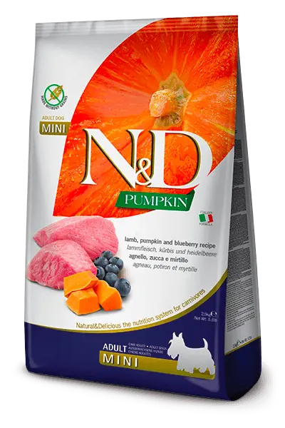 N&D Pumpkin Cordero & Arándanos Adult Mini | Pienso sin cereales para perros adultos de razas pequeñas