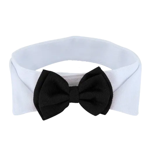 Noeud papillon chien mariage - Animal Lovers