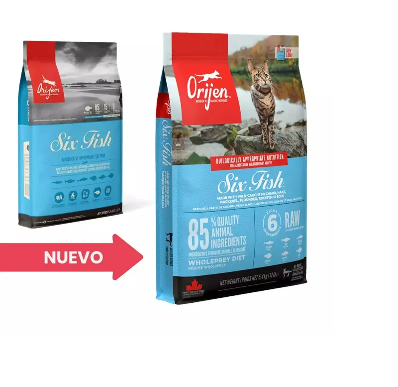 🐟 ORIJEN Six Fish Cat | Pienso natural con 6 pescados frescos para gatos de todas las razas y tamaños