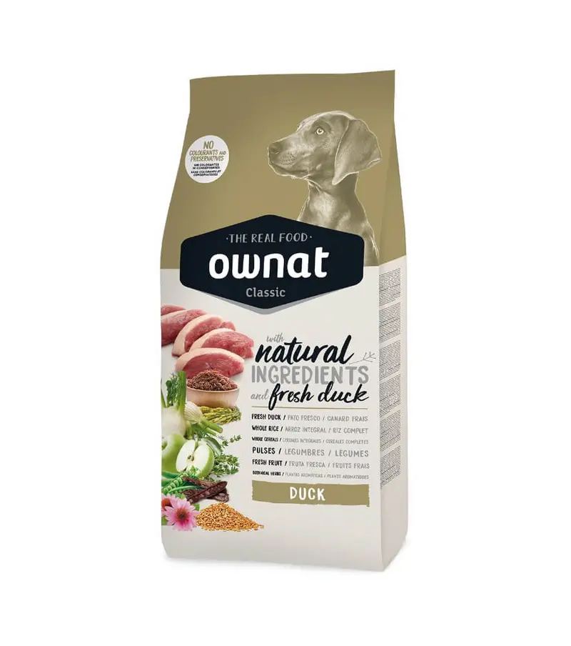 🦆OWNAT Classic Duck Dog