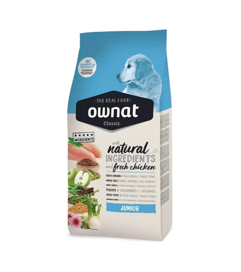 🐶OWNAT Classic Junior Dog