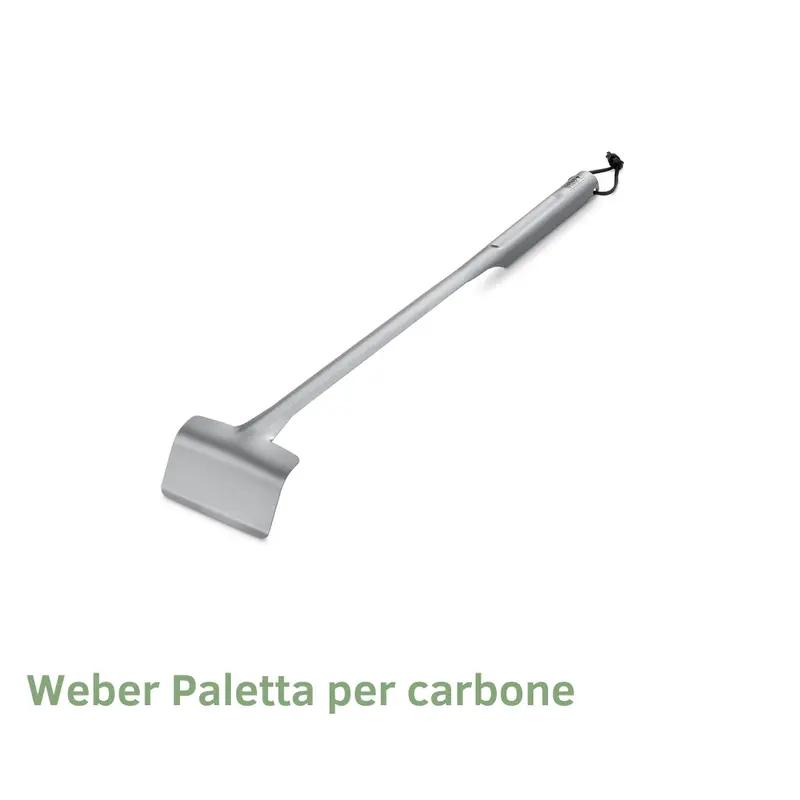 Paletta Weber per Carbone