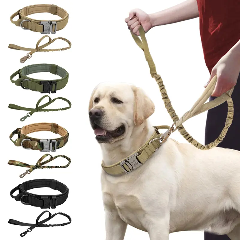 Perro fuerte táctico militar de la mascota. Entrenamiento de mascotas collares de perros grandes Bulldog francés K9.