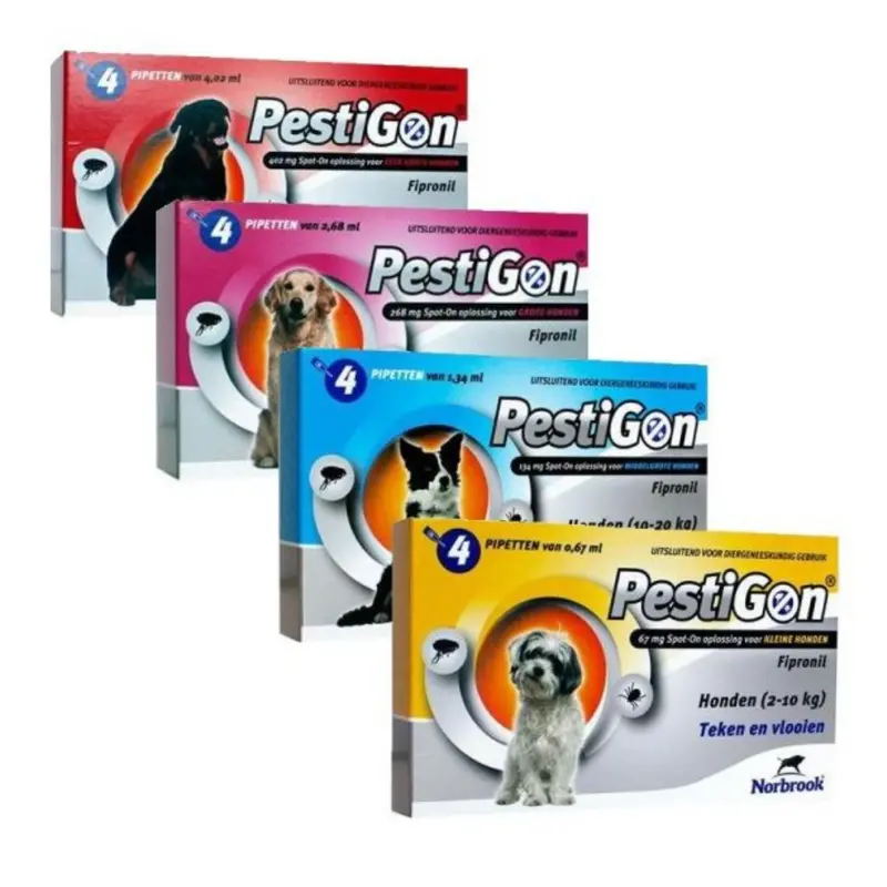 🐾 Pestigon para Gatos
