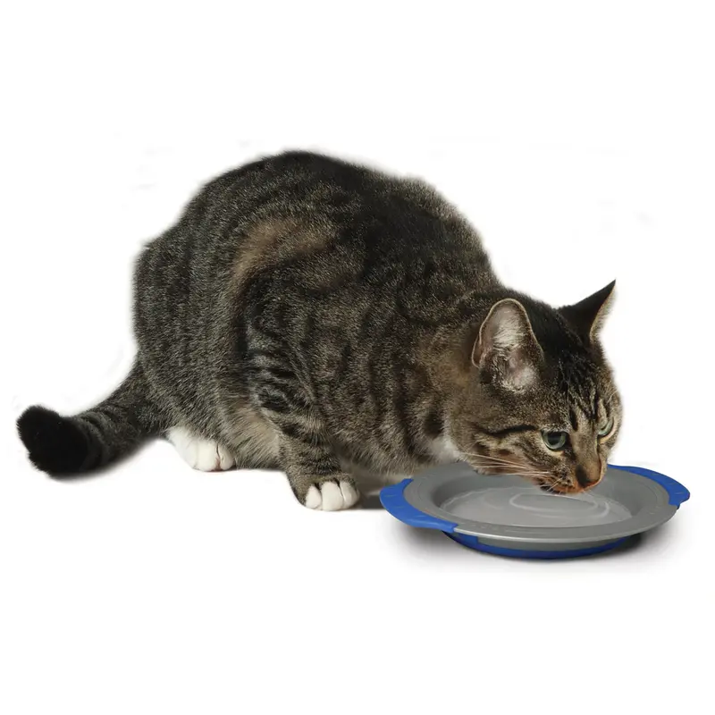 💧🐱 PETSTAGES Bebedero Comfort Cat para Gatos – Plato Ancho Antibigotes