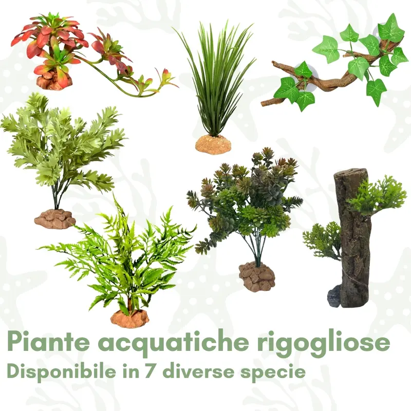 Piante Acquatiche Verdi Rigogliose - Vegetazione per acquario