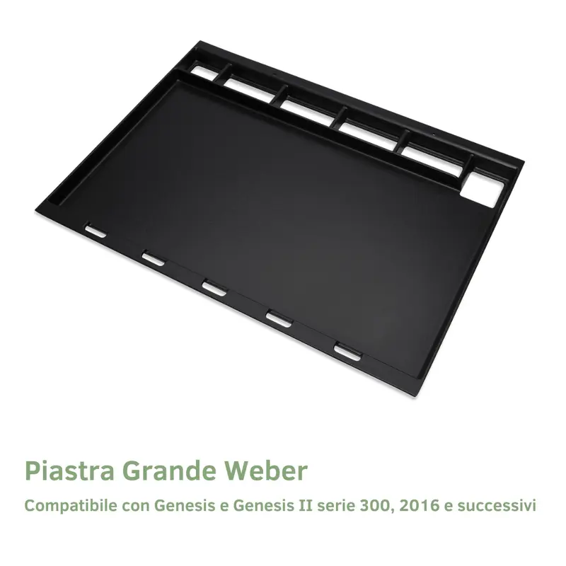 Piastra Grande Weber per Genesis serie 300