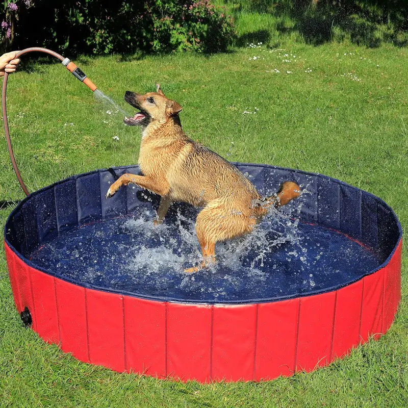 Piscina Antiarañazos Plegable AquaFold