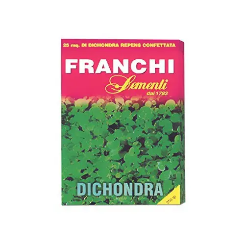 PRATO DICHONDRA REPENS 100 GRAMMI