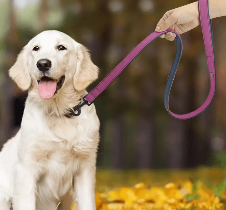Premium Leather Dog Leash - Stylish And Durable Pet Traction Belt
