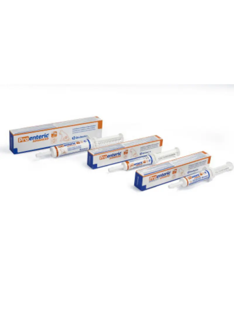 PRO-ENTERIC ADVANCED® – Recuperación y Equilibrio Digestivo para Perros y Gatos