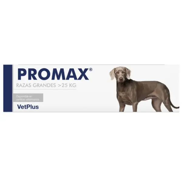 ProMax – Probiótico para Perros Razas Grandes | VetPlus