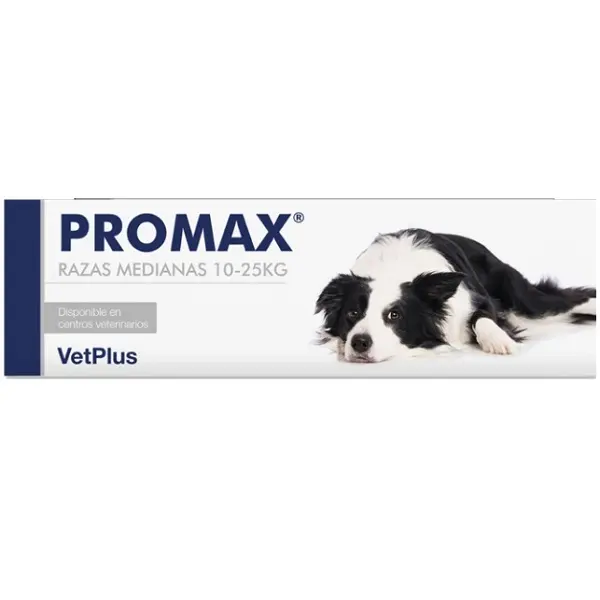 ProMax – Probiótico para Perros Razas Medianas | VetPlus