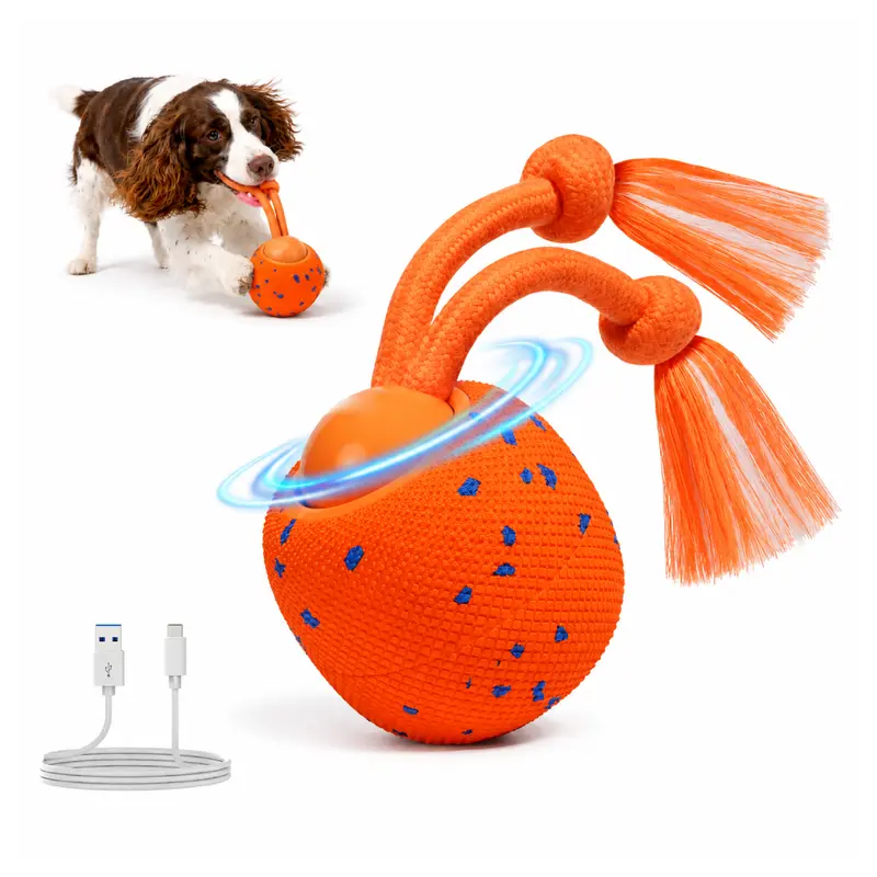 Robik Motion Interactive Ball