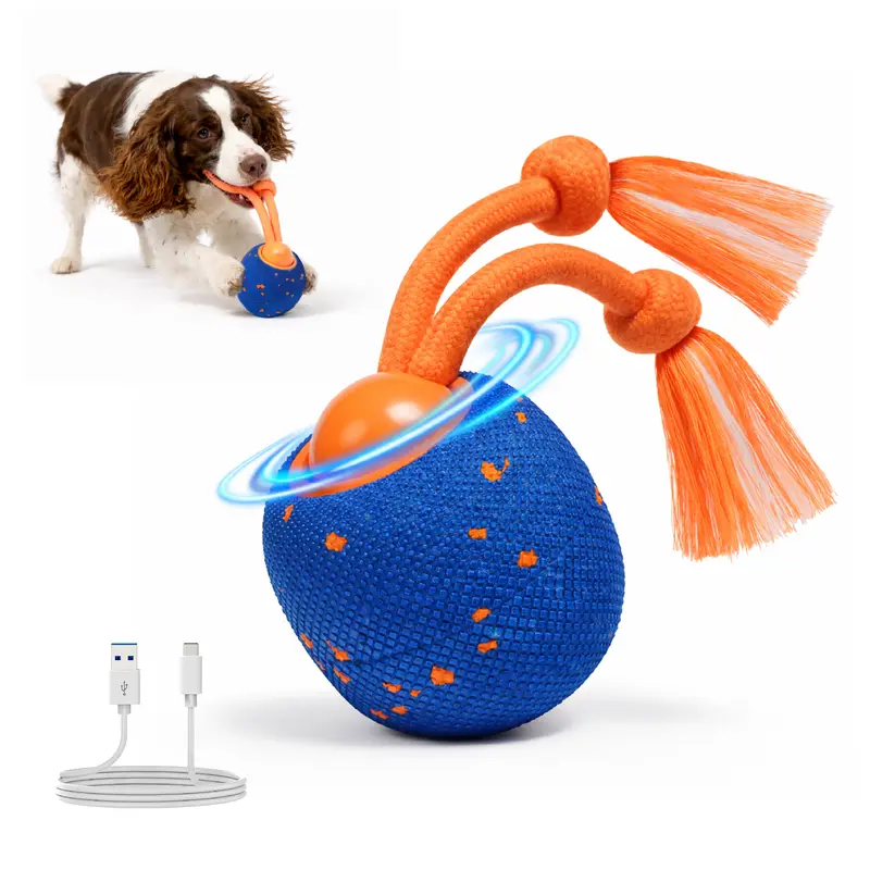 Robik Motion Interactive Ball