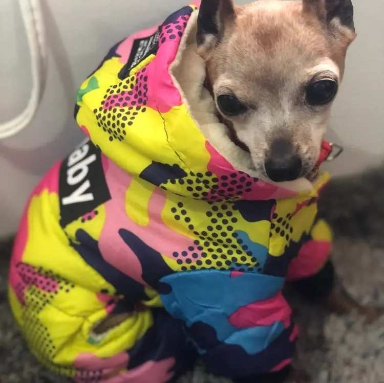 Ropa de invierno para perros, abrigo cálido a prueba de viento, mono, sudaderas con capucha, chaqueta.