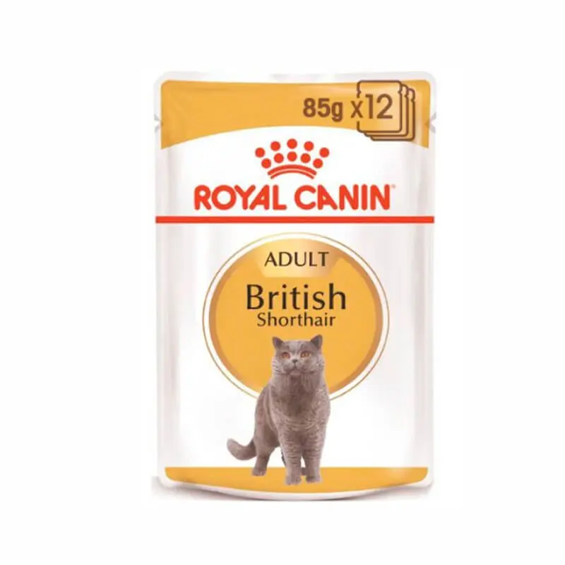 🐱 ROYAL CANIN British Shorthair Gravy Pouch – Pack 12 x 85 g | Comida húmeda para gatos de raza British Shorthair