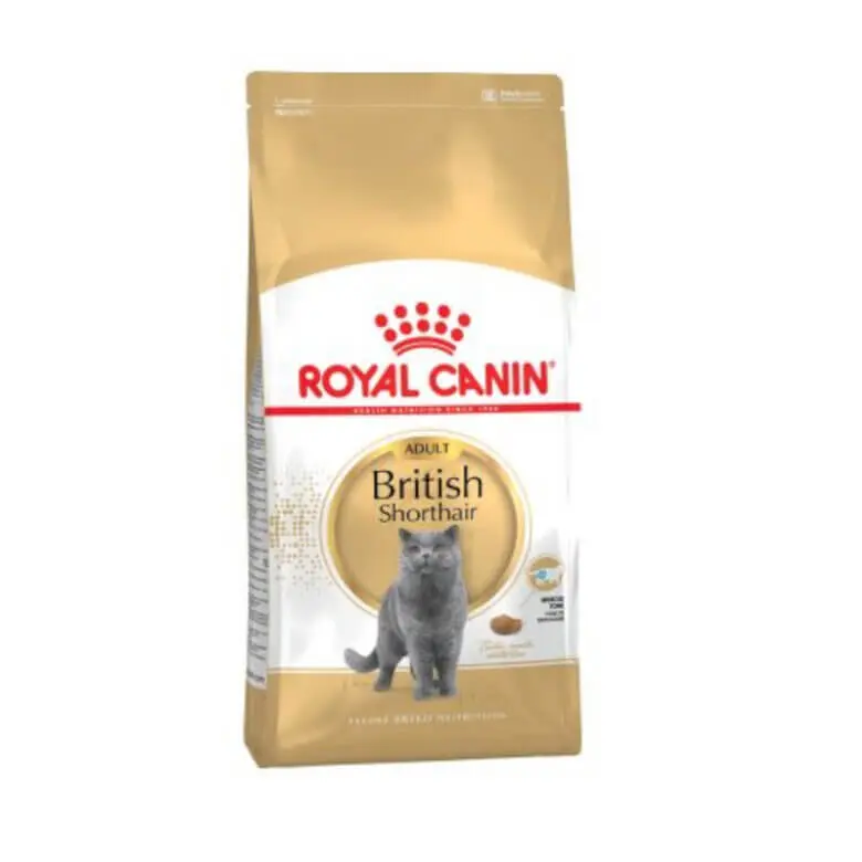 ROYAL CANIN British Shorthair | Pienso para gatos de raza British Shorthair