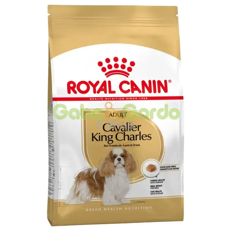 ROYAL CANIN Cavalier King Charles Adult 3 kg | pienso para perro