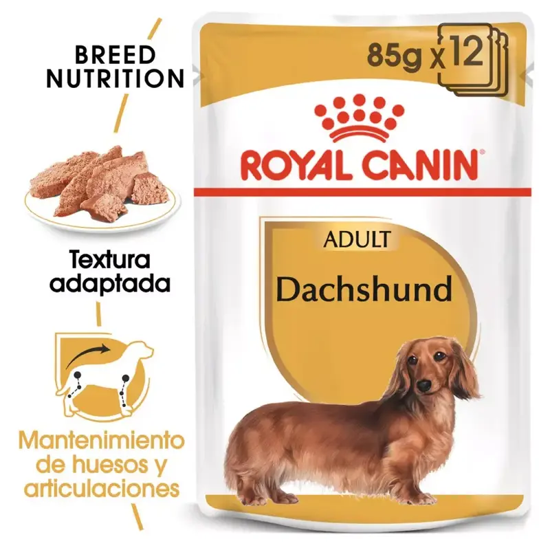 ROYAL CANIN Dachsund/Teckel alimento húmedo | Pack 12 x 85 g