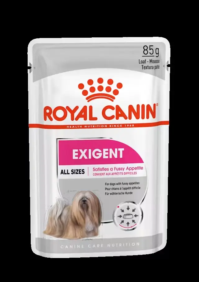 ROYAL CANIN Exigent | pack de 12 x 85 g para perros con apetito caprichoso