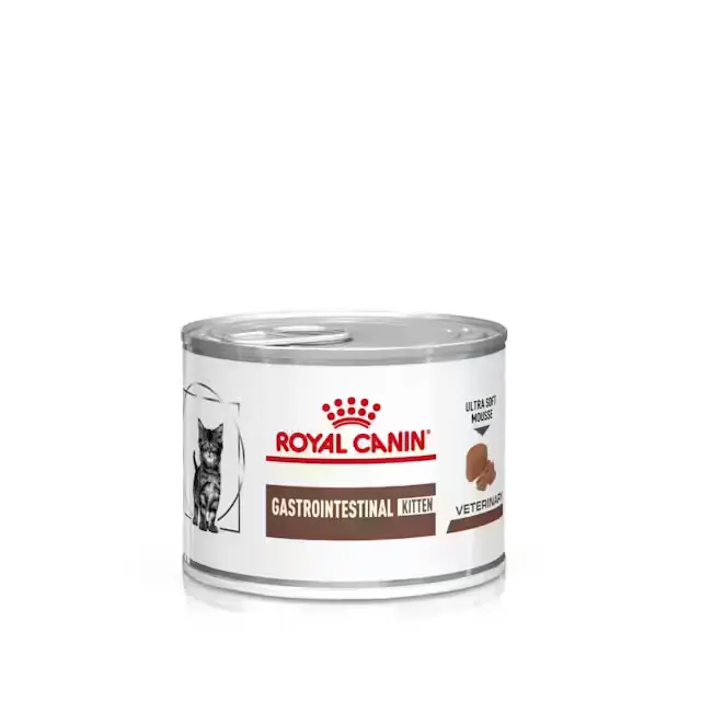 🐱 ROYAL CANIN Gastrointestinal Kitten Paté | Soporte digestivo para gatitos en crecimiento
