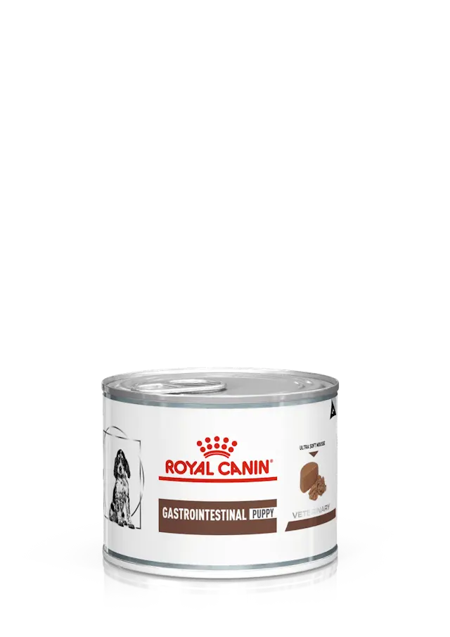 ROYAL CANIN Gastrointestinal Puppy Paté | Pack de latas de 12 x 195 g para cachorros