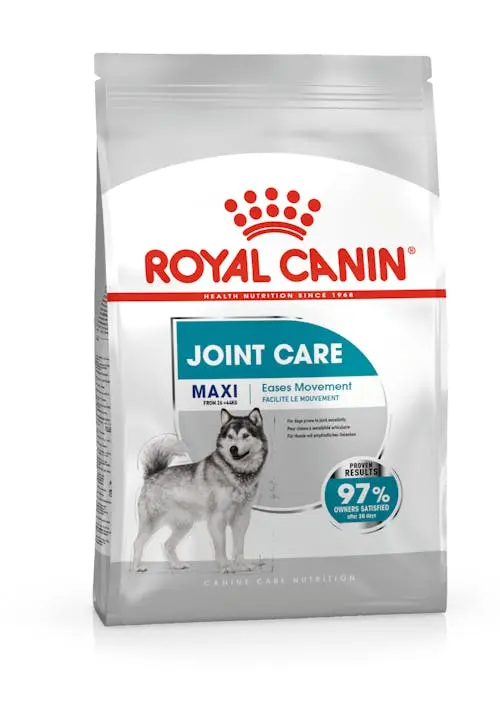 🦴 ROYAL CANIN Joint Care Maxi Adult | Pienso para perros adultos de razas grandes con sensibilidad articular (26-44 kg)