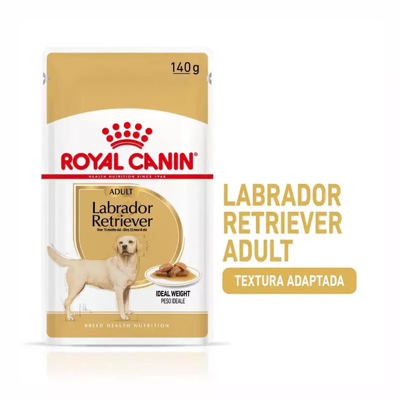 ROYAL CANIN Labrador alimento húmedo | Pack de 10 x 140 g