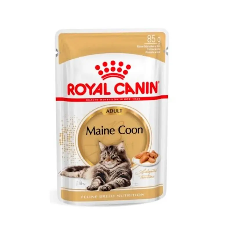 ROYAL CANIN Maine Coon Gravy Pouch | Pack de 12 x 85 g para gatos