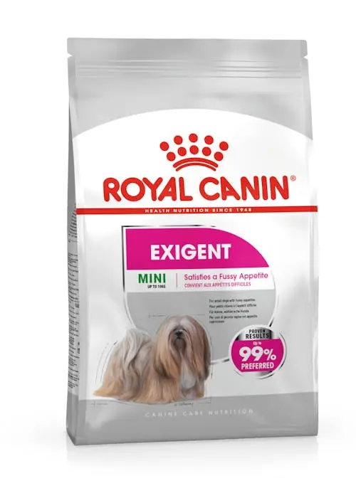 ROYAL CANIN Mini Exigent para perros adultos con apetito caprichoso