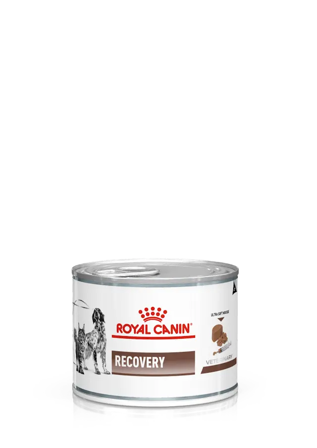🐶🐱 ROYAL CANIN Recovery | Pack de 12 latas (195 g) para perros y gatos en recuperación
