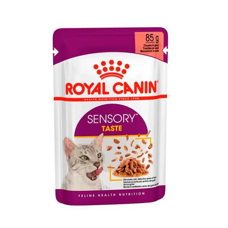 ROYAL CANIN Sensory Taste Gravy Pouch | Pack de 12 x 85 g para gatos
