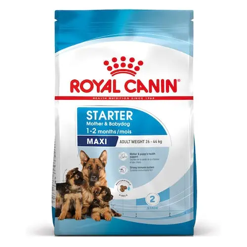 ROYAL CANIN STARTER Mother & Babydog - Maxi para cachorros de razas grandes