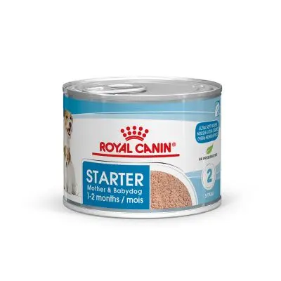 ROYAL CANIN starter Mother & Babydog | Para madres gestantes o lactantes y los cachorros