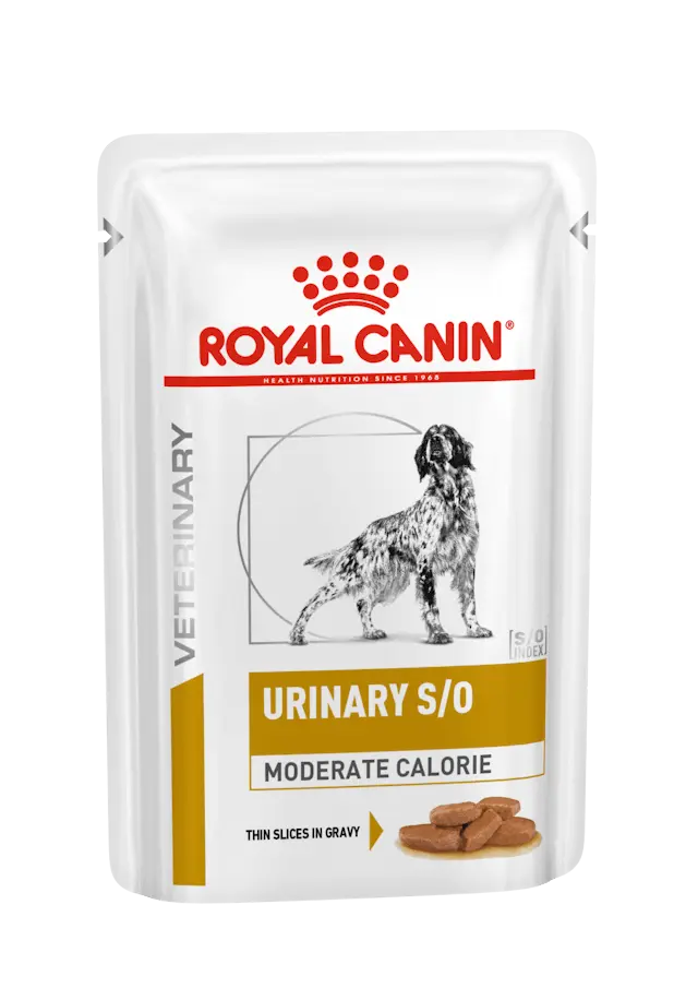 🐶 ROYAL CANIN Urinary S/O Moderate Calorie Salsa | Comida húmeda para perros con sensibilidad urinaria | Pack 12 x 100g