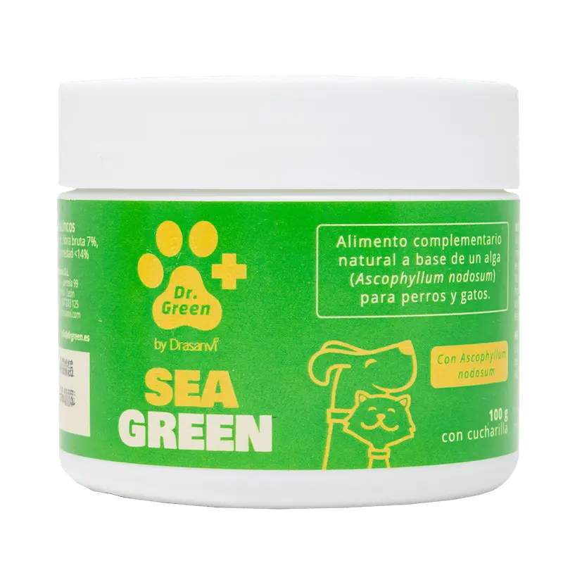 🐾 Sea Green- Prevención natural del sarro en perros y gatos
