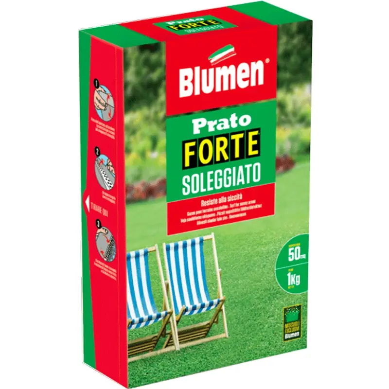 SEMI BLUMEN PRATO SOLEGGIATO 1 KG