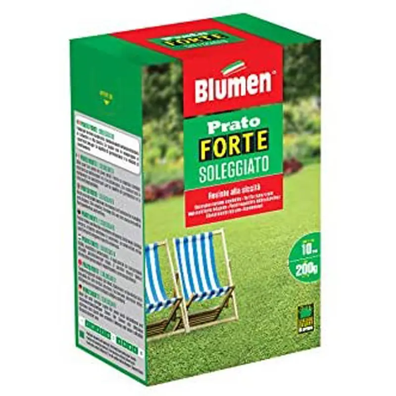 SEMI BLUMEN PRATO SOLEGGIATO 200 GRAMMI