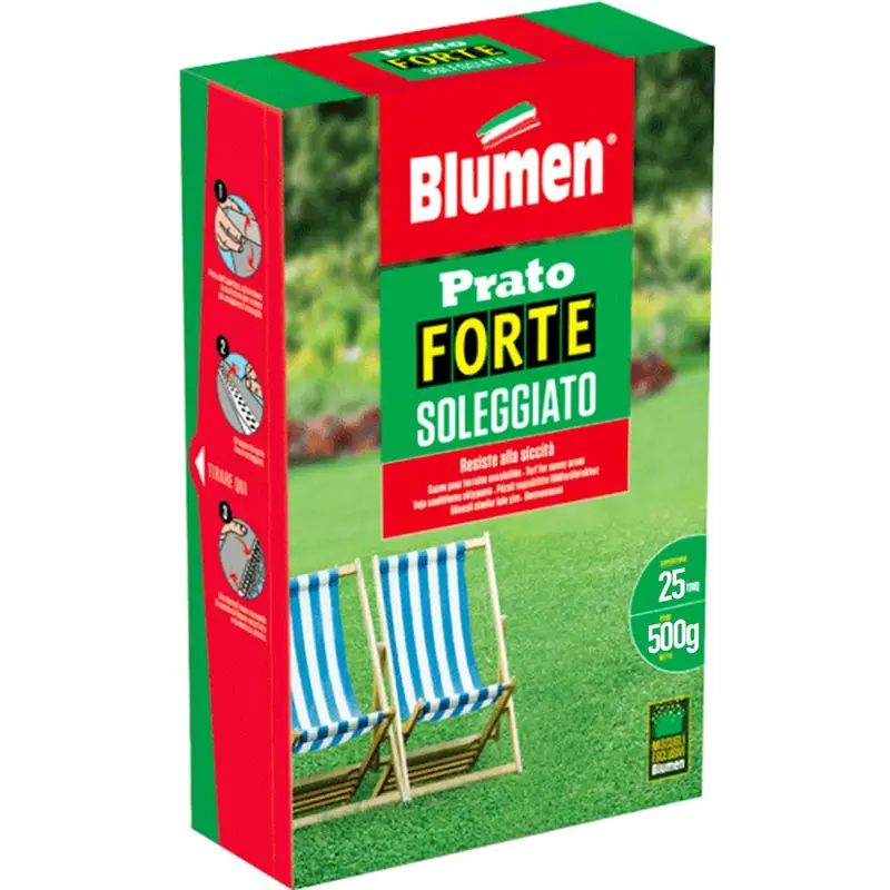SEMI BLUMEN PRATO SOLEGGIATO 500 GRAMMI