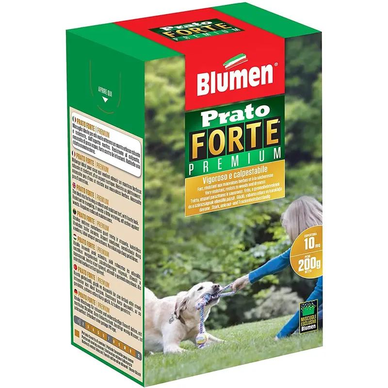 SEMI PRATO FORTE 200 GRAMMI