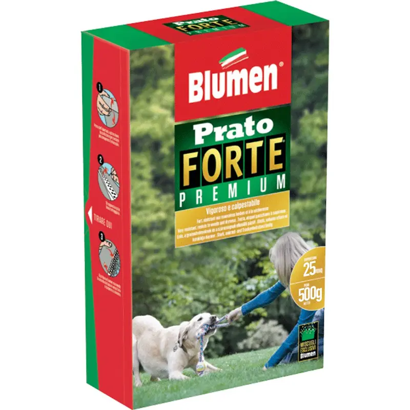 SEMI PRATO FORTE 500 GRAMMI