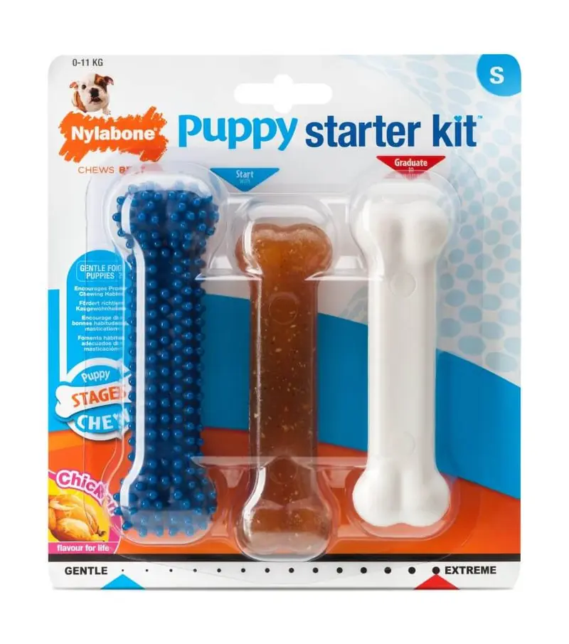 🦴 Set de Mordedores con Sabor a Pollo para Cachorros – Cuidado Dental y Diversión desde Pequeños