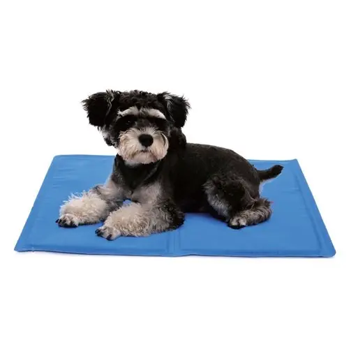 Tappetino Rinfrescante per Cani Colore Blu