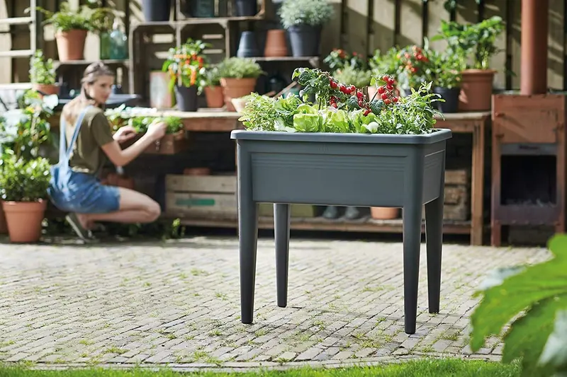 TAVOLO GREEN BASICS GROW SUPER XXL LIVING BLACK