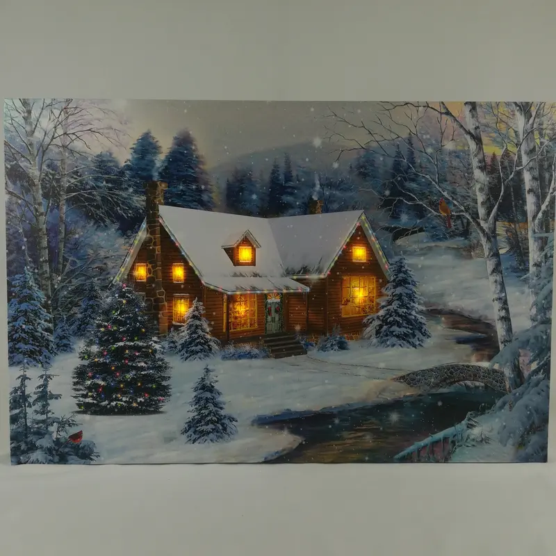 Tela Luminosa 7 LED 25 Fibre Ottiche 60x40 Casa Innevata