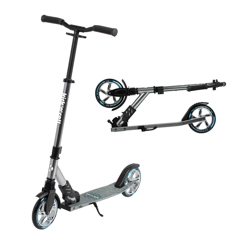 Trottinette Scooter Pliable (Gris)