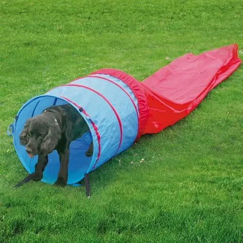 Tunnel Agility per Allenamento Cani 5 Metri