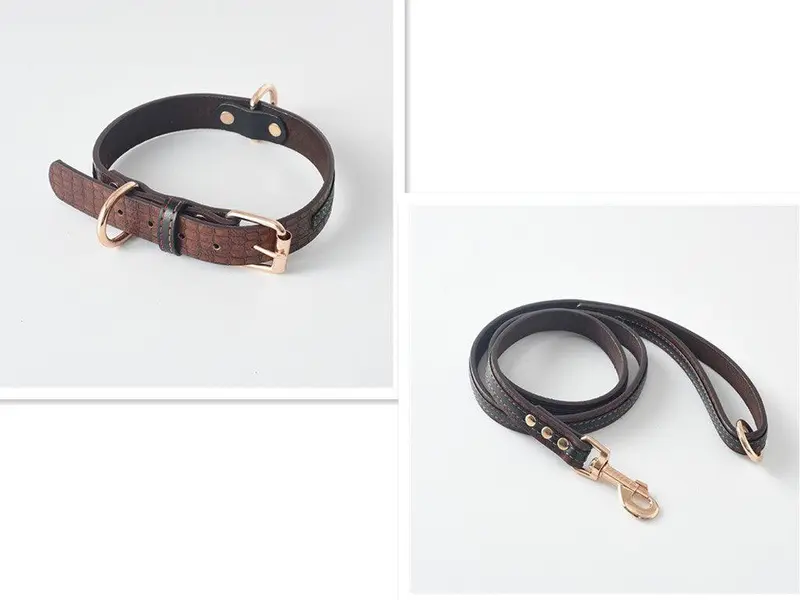 Ultimate Pet Walking Set